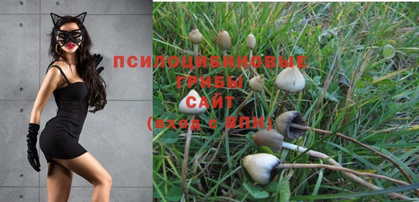 PSILOCYBIN Беломорск